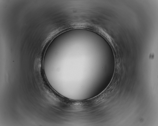 X0000100320059200806121113