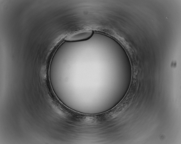 X0000100320060200806121113