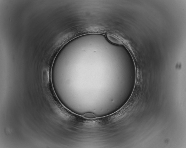 X0000100320061200806121113