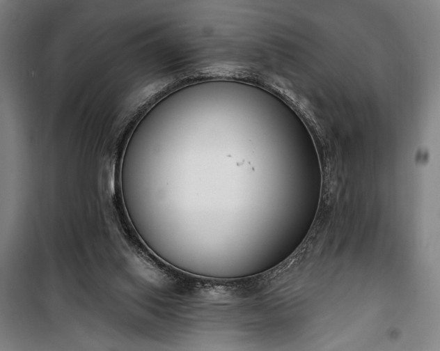 X0000100320062200806121113