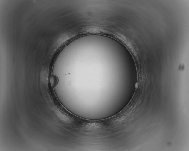 X0000100320063200806121113