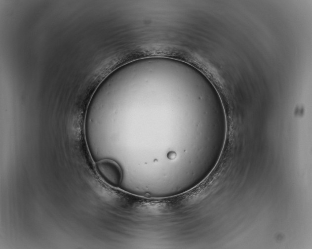 X0000100320065200806121113