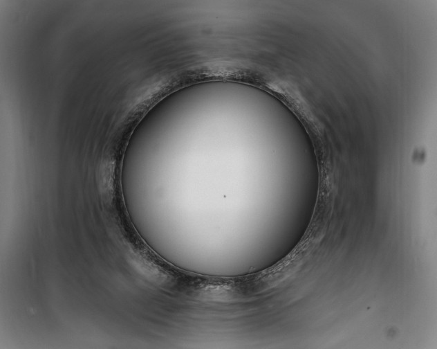 X0000100320066200806121113