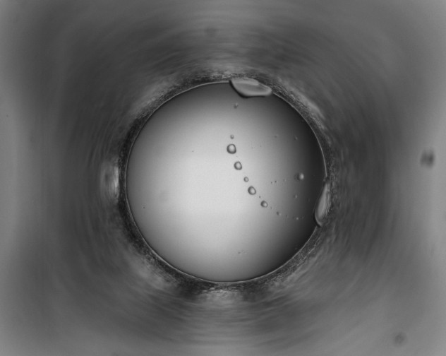 X0000100320067200806121113