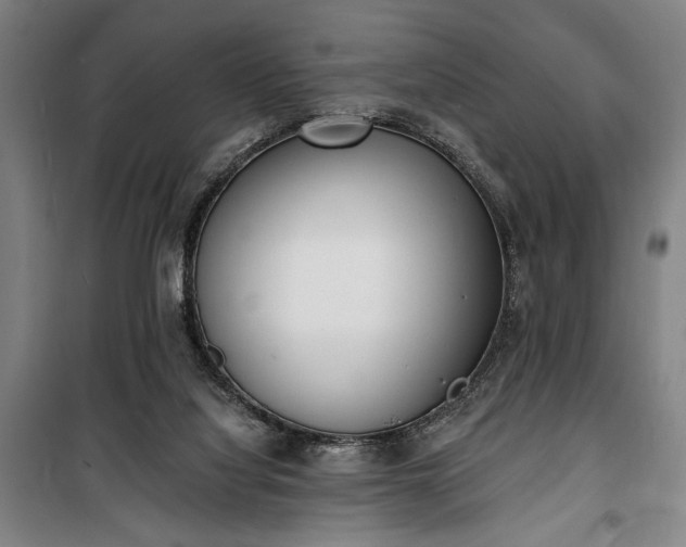 X0000100320068200806121113