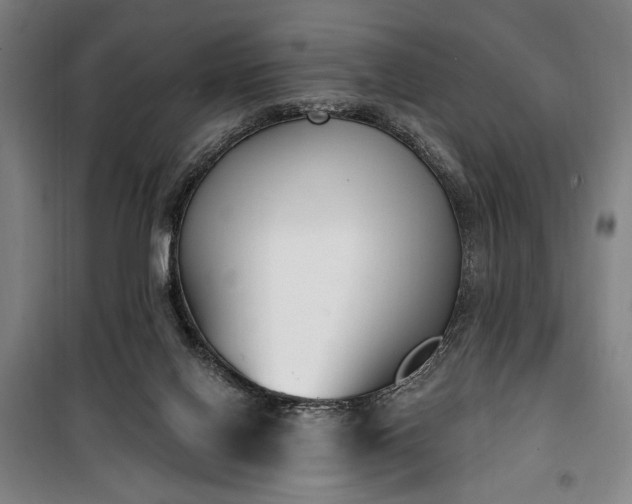 X0000100320070200806121113