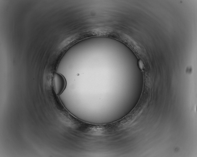 X0000100320071200806121114