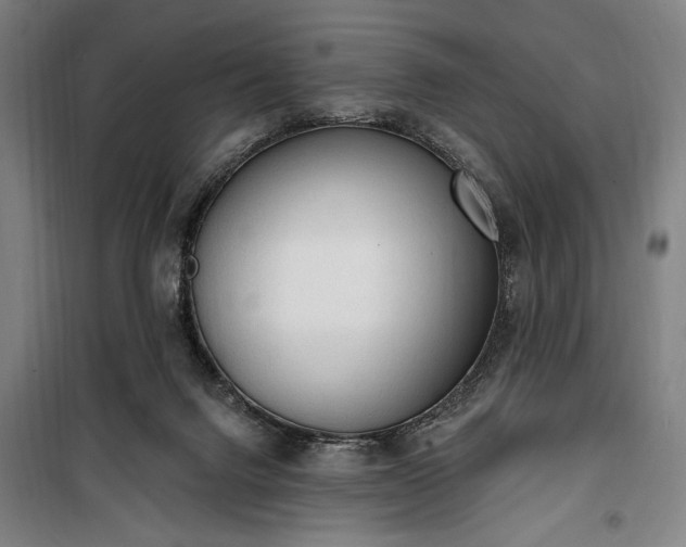 X0000100320072200806121114