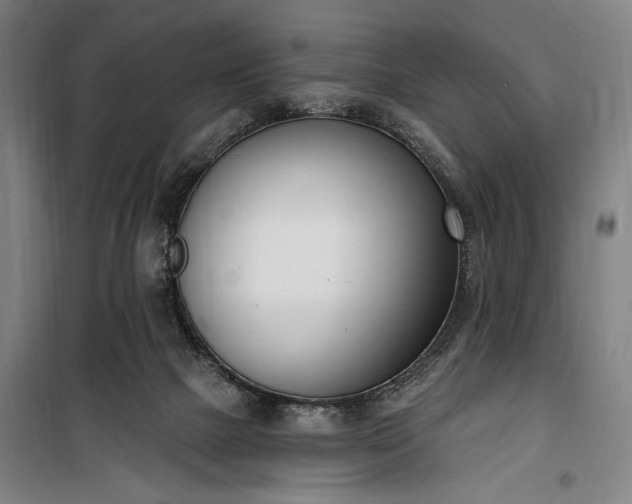 X0000100320073200806121114