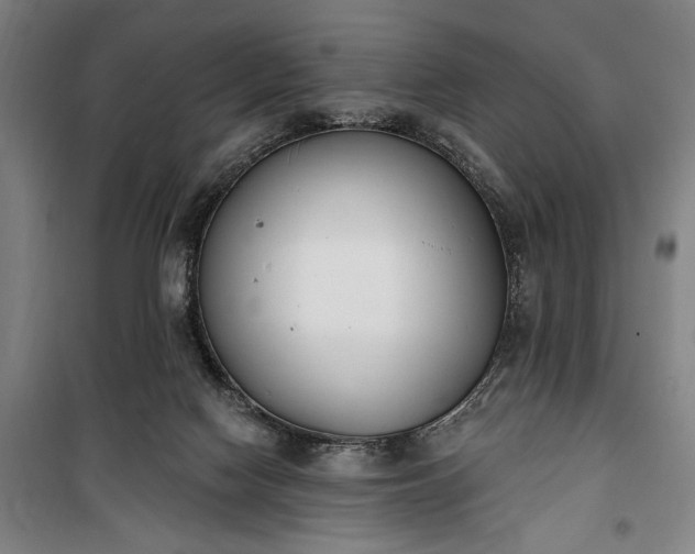 X0000100320074200806121114