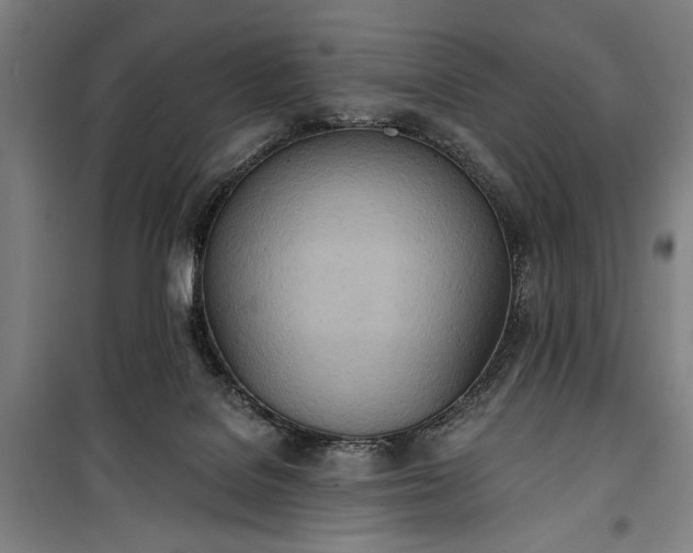 X0000100320076200806121114