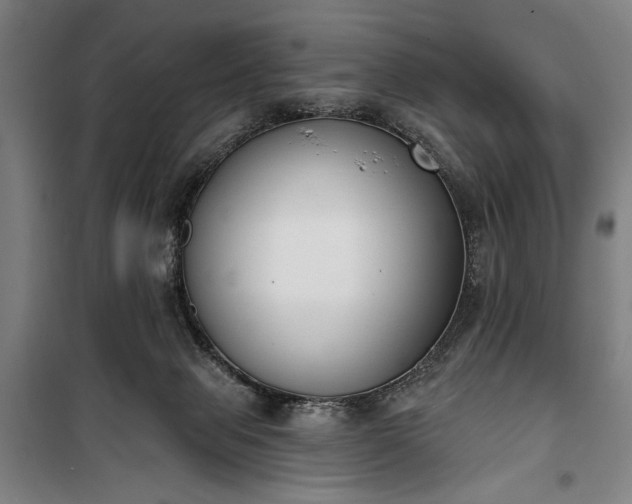 X0000100320077200806121114