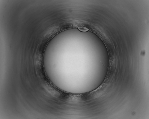 X0000100320078200806121114