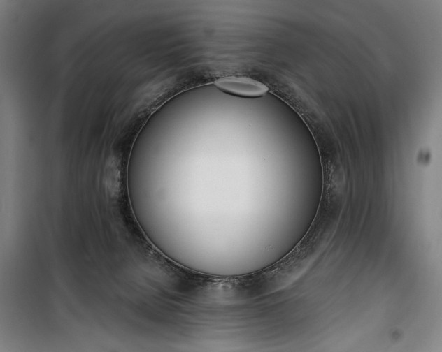 X0000100320080200806121114