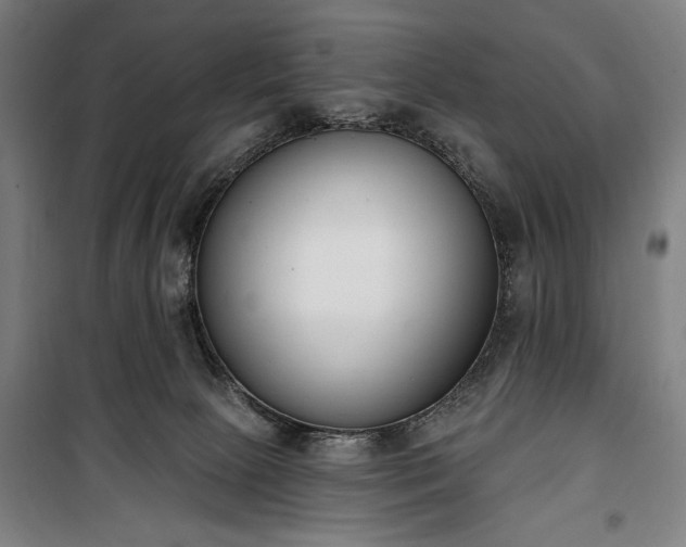 X0000100320081200806121114