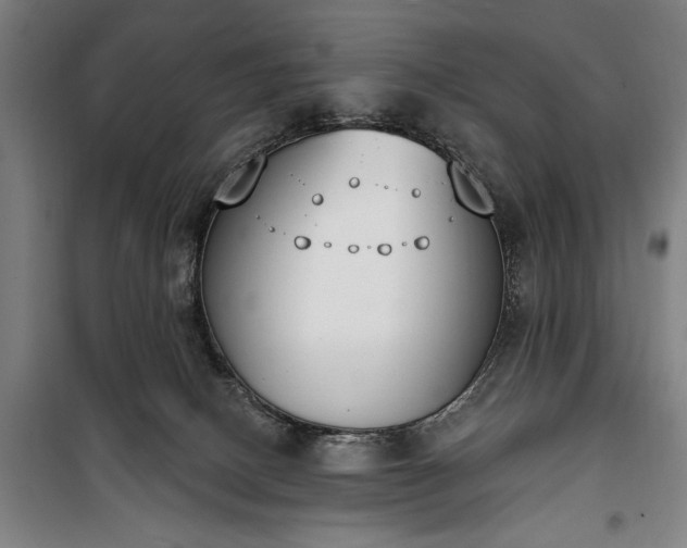 X0000100320082200806121114