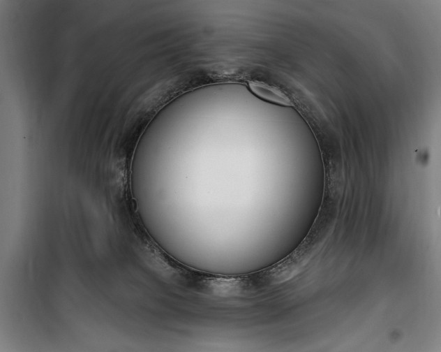 X0000100320085200806121114