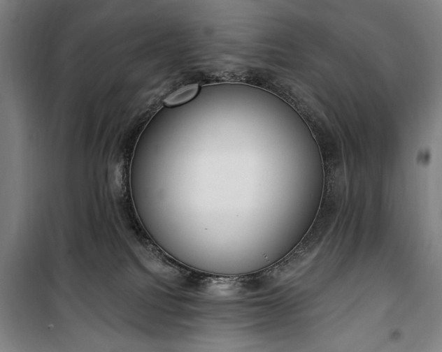 X0000100320088200806121114