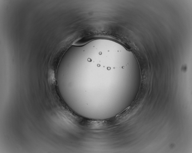 X0000100320089200806121114