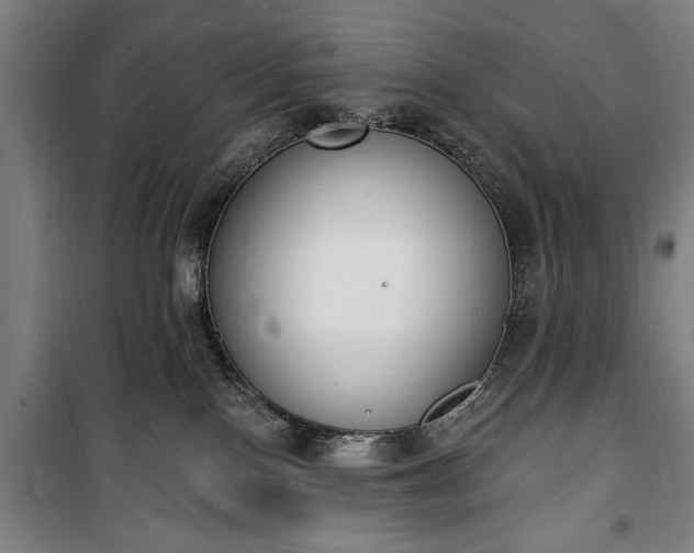 X0000100320090200806121114