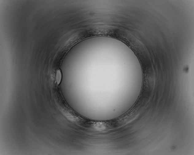 X0000100320091200806121114