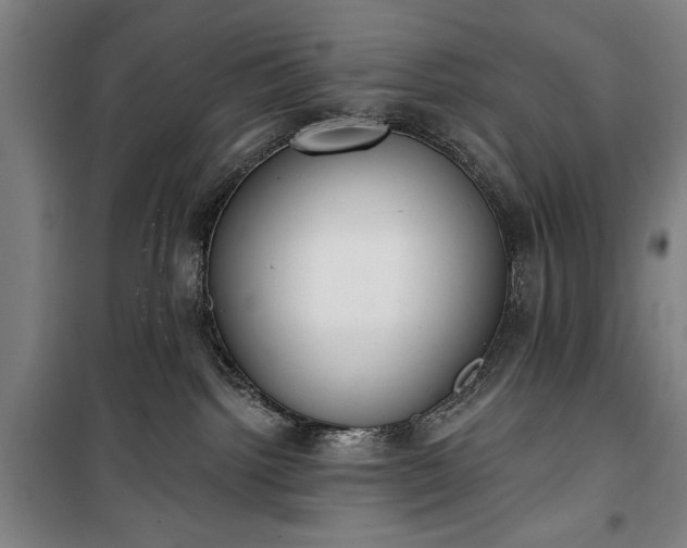 X0000100320092200806121114