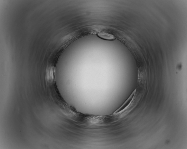 X0000100320094200806121114