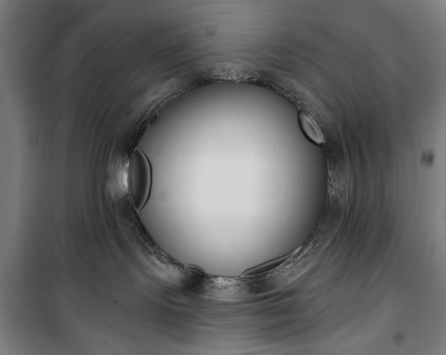 X0000100320095200806121114