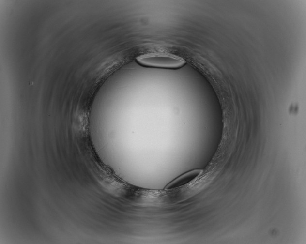 X0000100320096200806121114