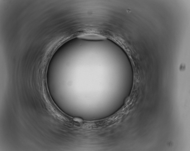 X0000100320097200806121113