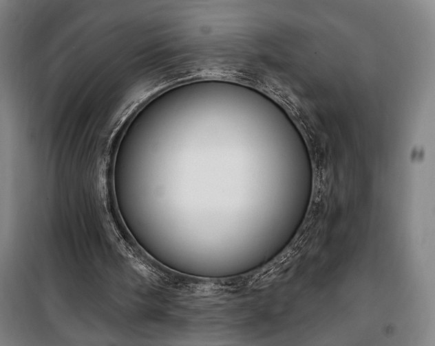 X0000100320098200806121113