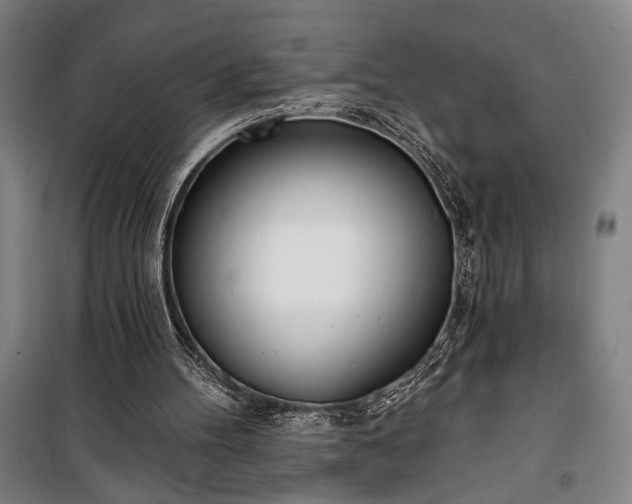 X0000100320100200806121113