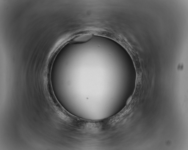 X0000100320101200806121113