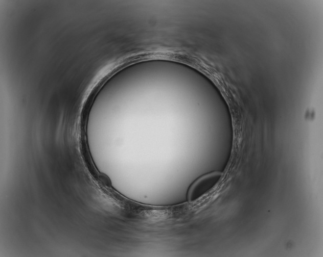 X0000100320102200806121113