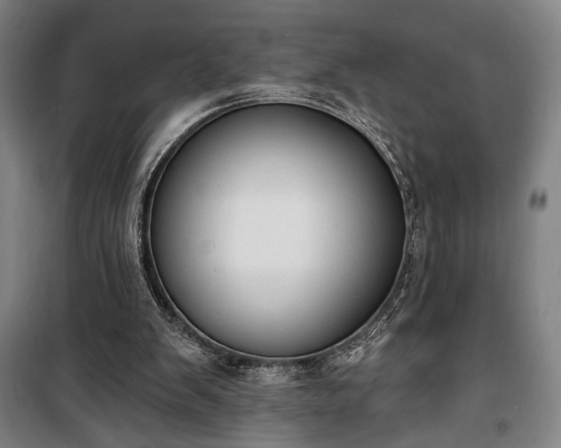 X0000100320103200806121113