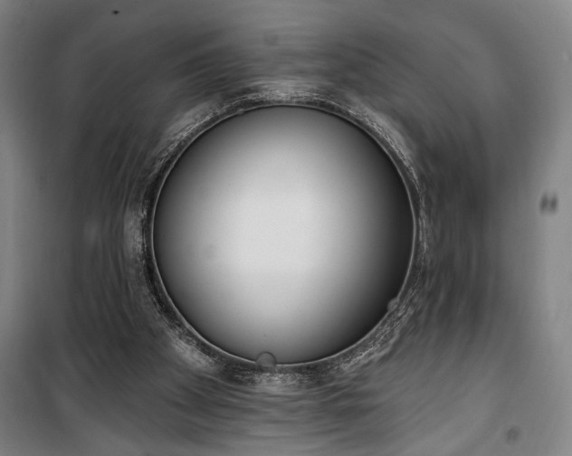 X0000100320105200806121113