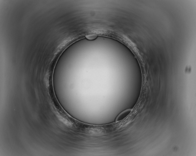 X0000100320106200806121113