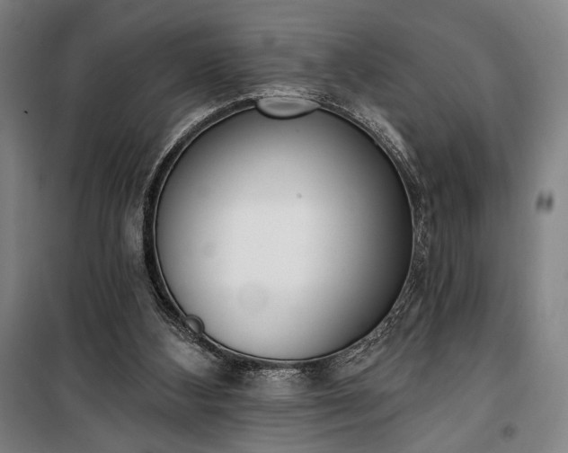 X0000100320108200806121113