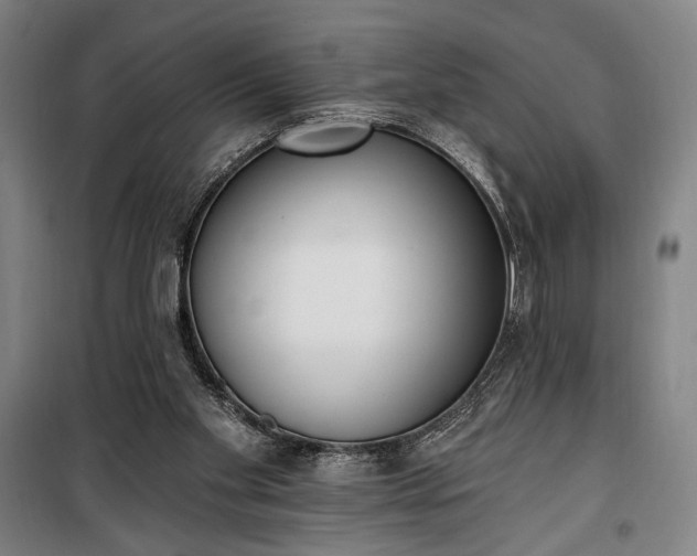 X0000100320109200806121113