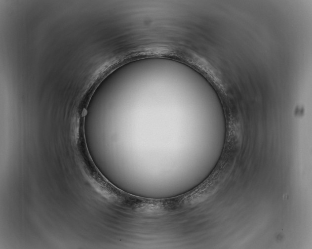 X0000100320110200806121113