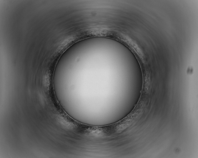 X0000100320113200806121113