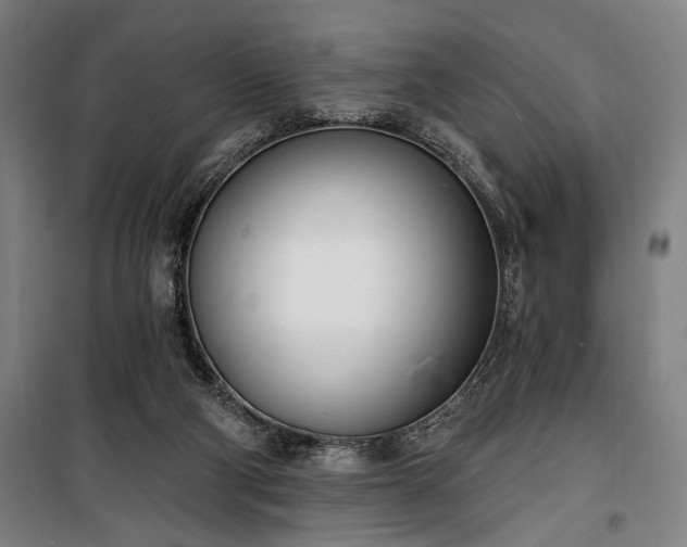 X0000100320114200806121113