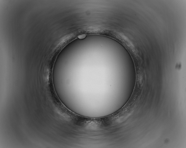 X0000100320115200806121113