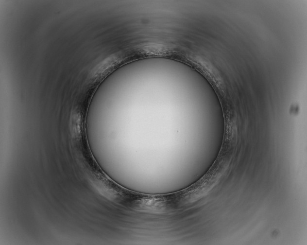 X0000100320117200806121113