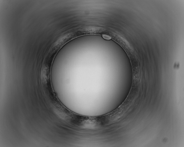 X0000100320119200806121113