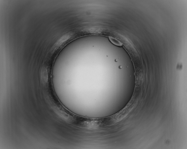 X0000100320120200806121113