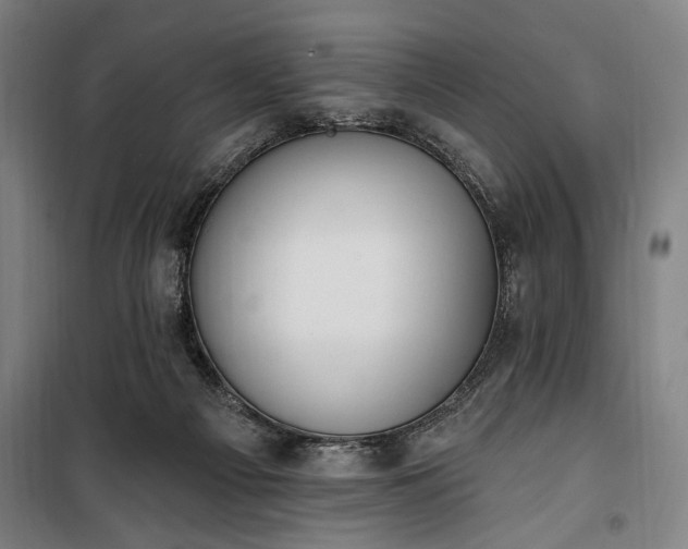 X0000100320121200806121113