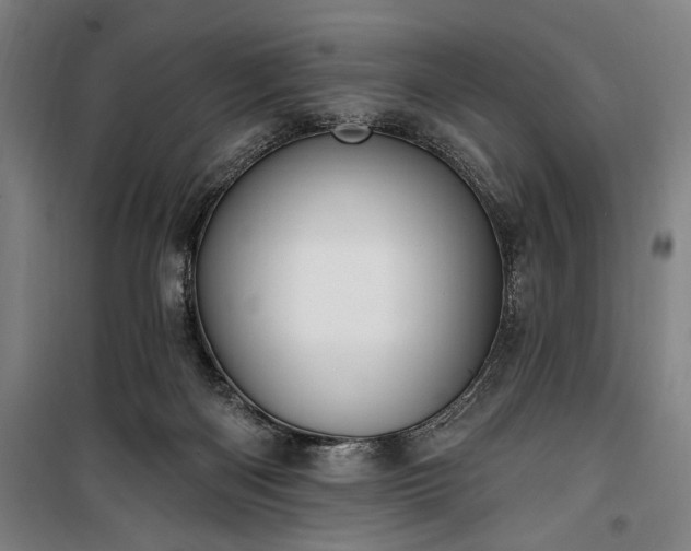 X0000100320122200806121113