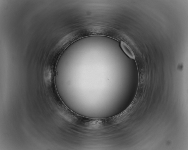 X0000100320124200806121113