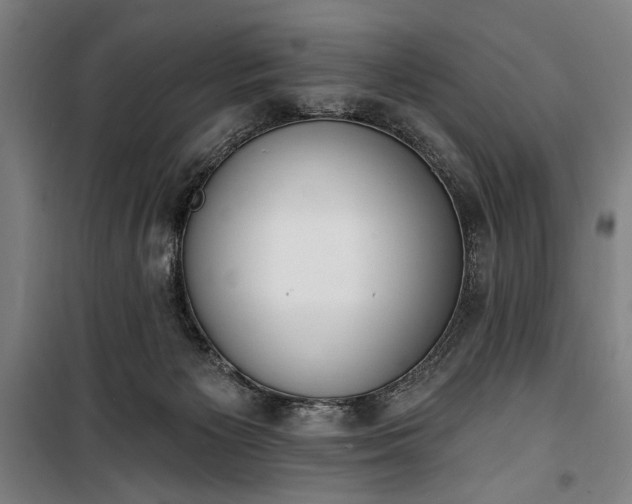 X0000100320125200806121113